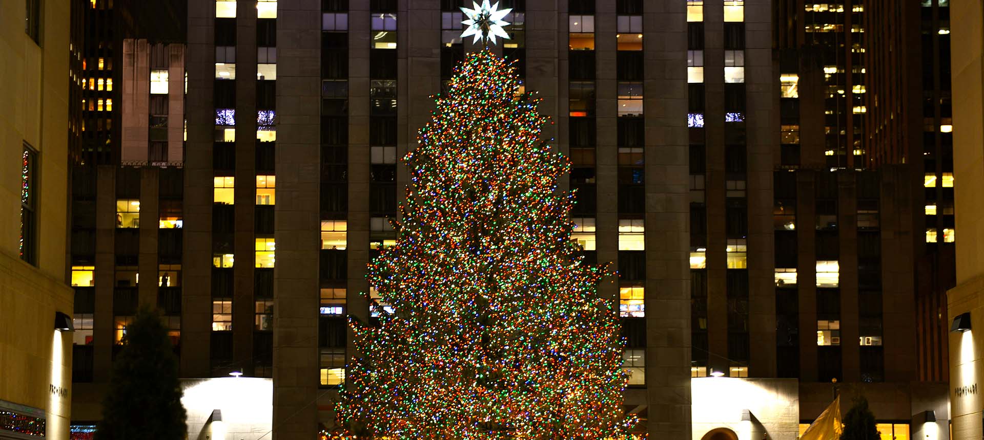 Famous Christmas trees around the world MyTravelStudio